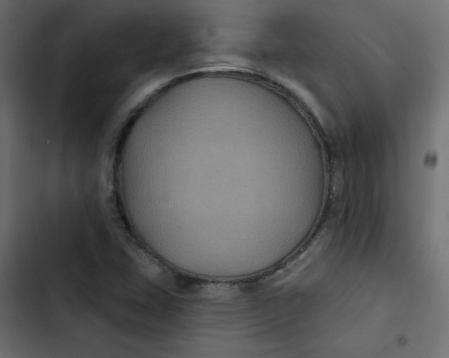 X0000103321407200809261125