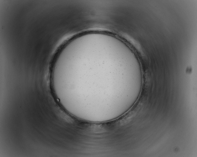 X0000103321408200809261125