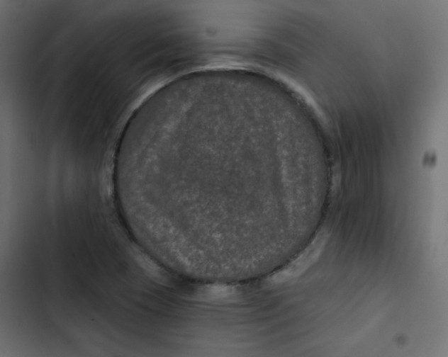 X0000103321409200809261125