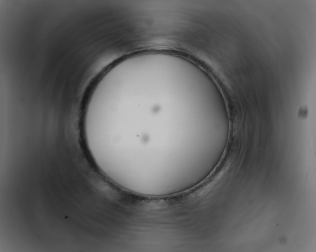 X0000103321410200809261125