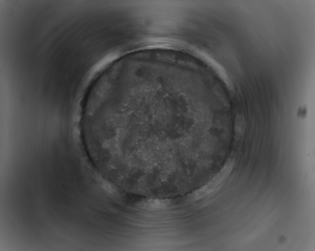 X0000103321411200809261125