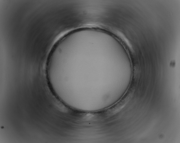 X0000103321412200809261125