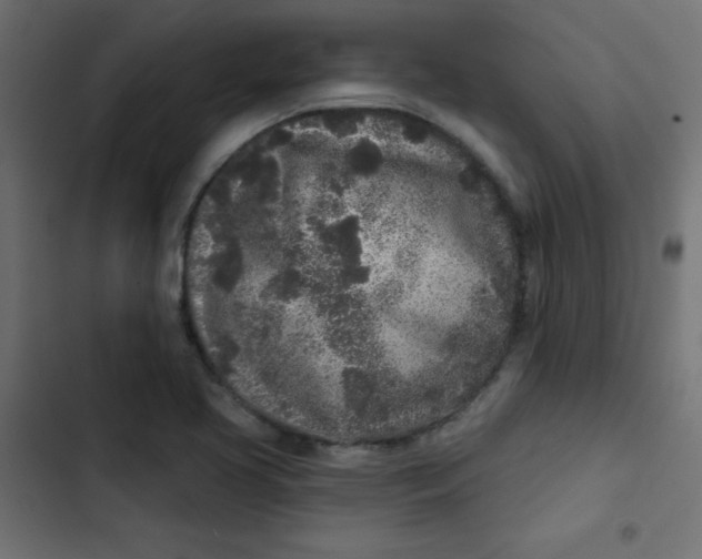 X0000103321413200809261125