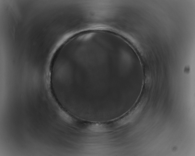 X0000103321414200809261125