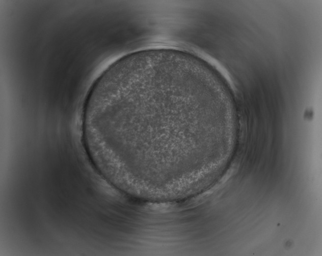 X0000103321415200809261125