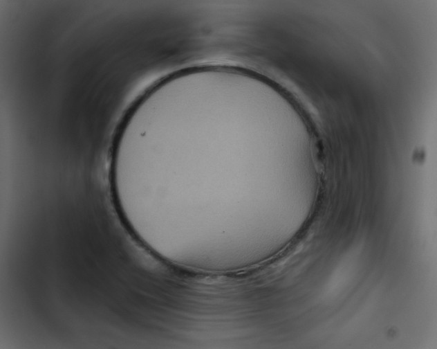 X0000103321416200809261125