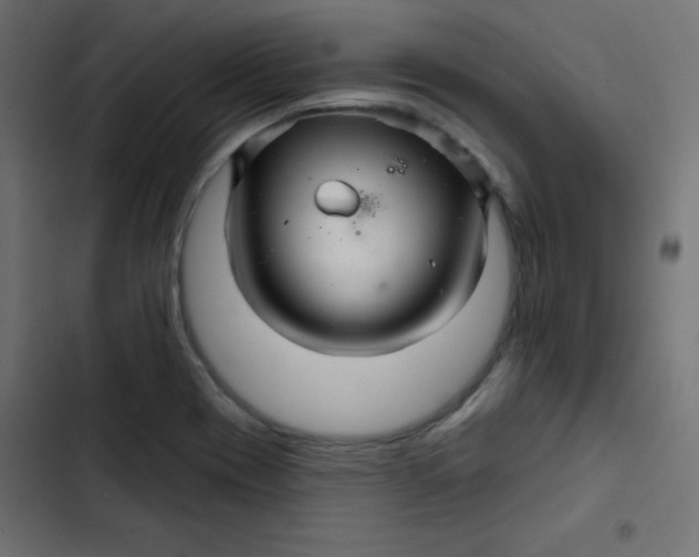 X0000103321417200809261125