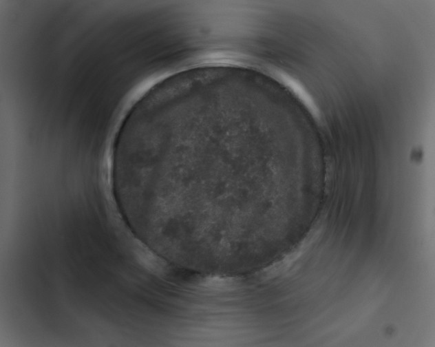 X0000103321419200809261125