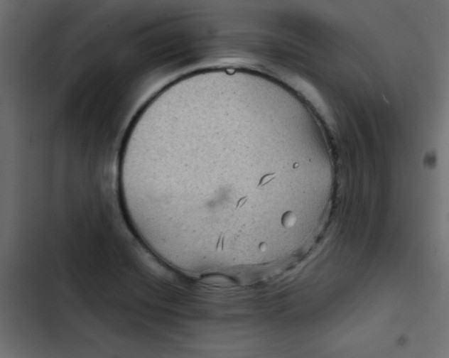 X0000103321420200809261125