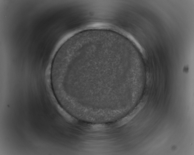 X0000103321421200809261125