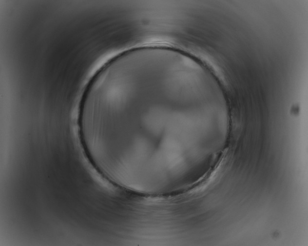 X0000103321422200809261125