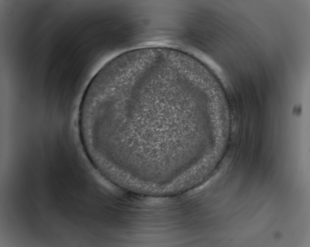 X0000103321423200809261125