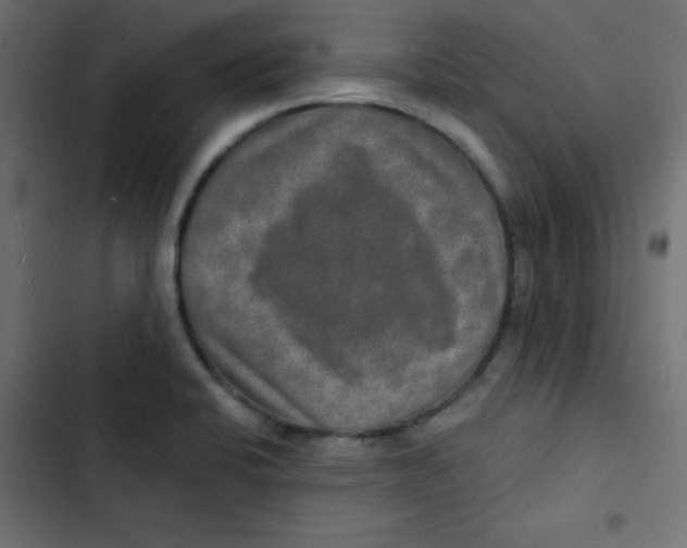 X0000103321424200809261125