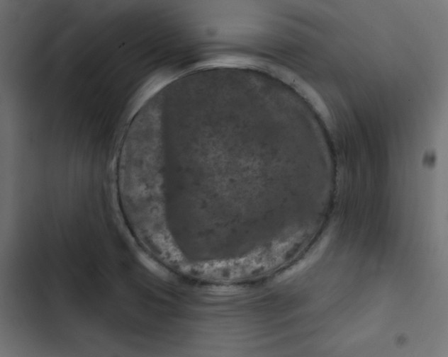 X0000103321425200809261125