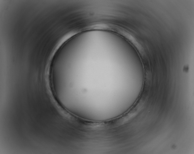 X0000103321426200809261125