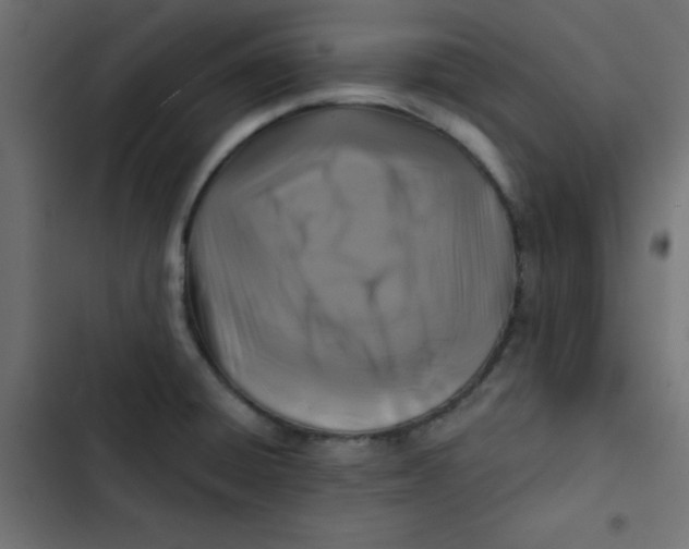 X0000103321428200809261125