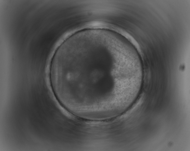 X0000103321429200809261125