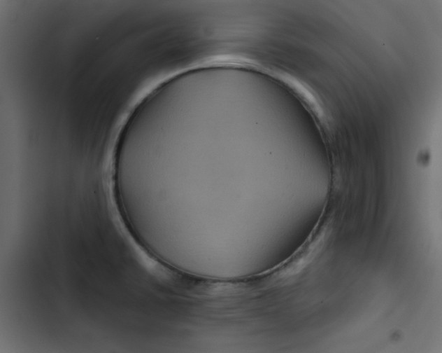 X0000103321430200809261125