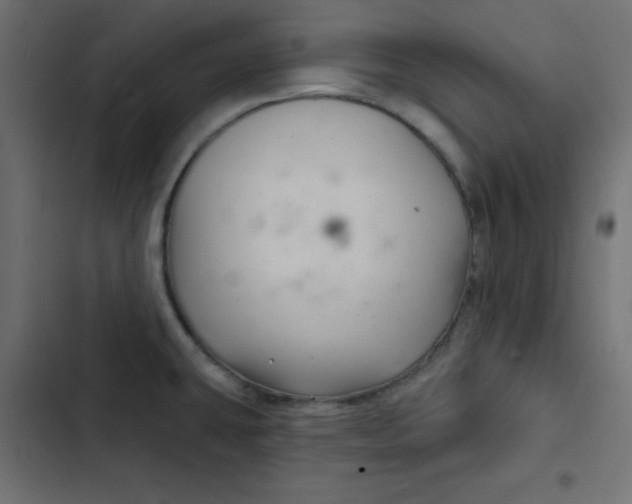 X0000103321431200809261125