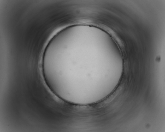 X0000103321432200809261125