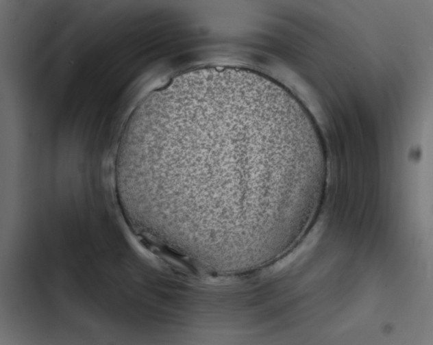 X0000103321433200809261125