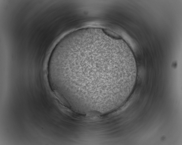 X0000103321435200809261125