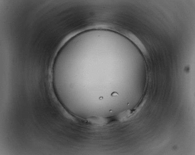 X0000103321436200809261125