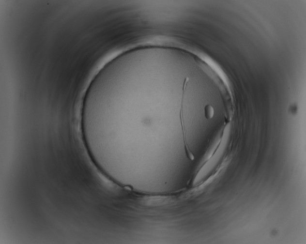 X0000103321437200809261125