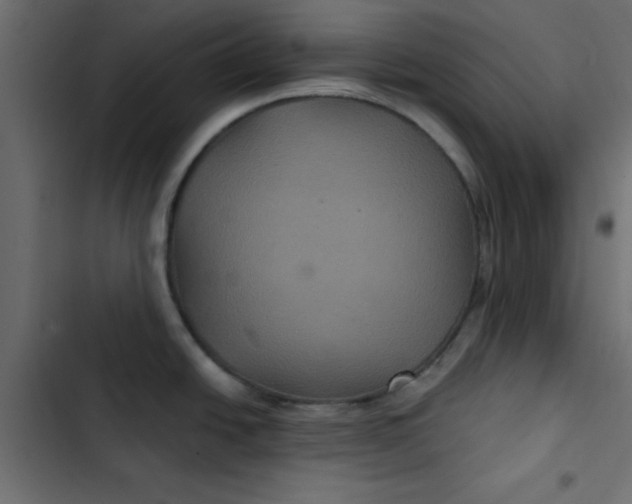 X0000103321438200809261125