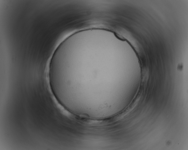 X0000103321439200809261125