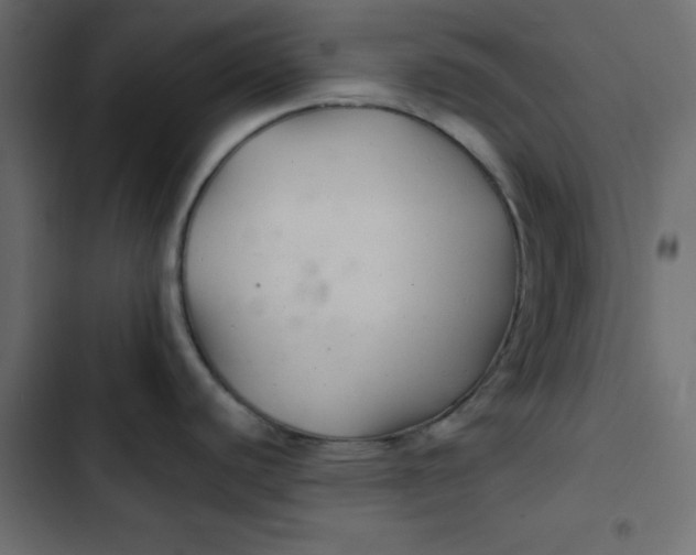 X0000103321440200809261125