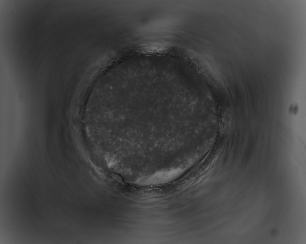 X0000103321441200809261125