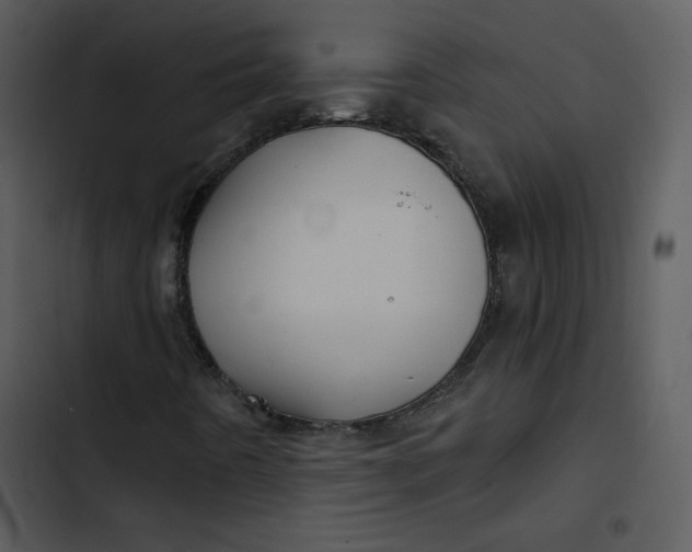 X0000103321442200809261125