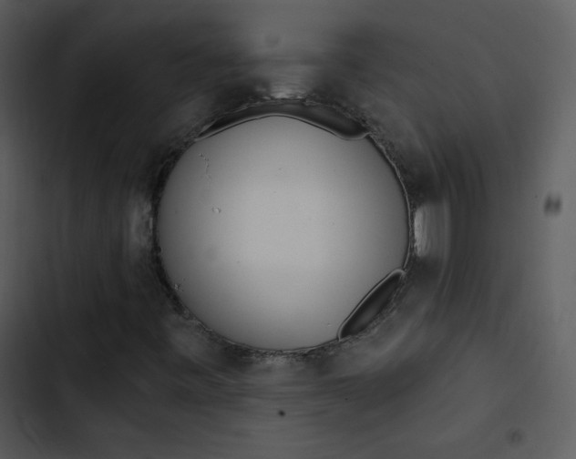 X0000103321443200809261125