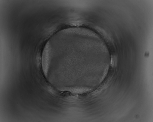 X0000103321444200809261125