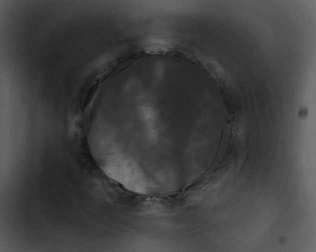 X0000103321445200809261125