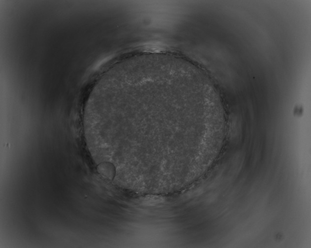 X0000103321446200809261125