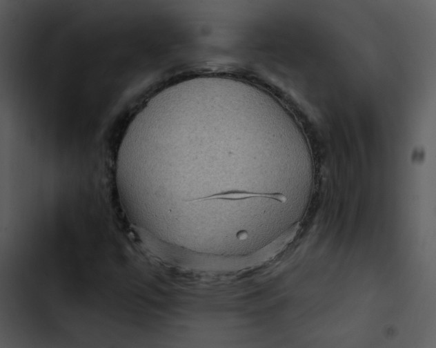 X0000103321447200809261125