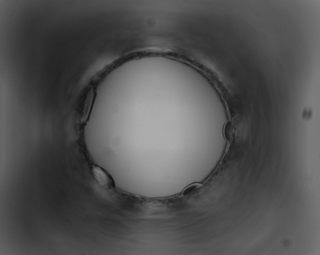 X0000103321448200809261125