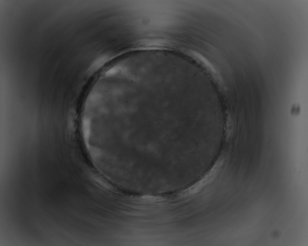 X0000103321449200809261125