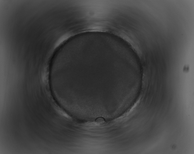 X0000103321450200809261125