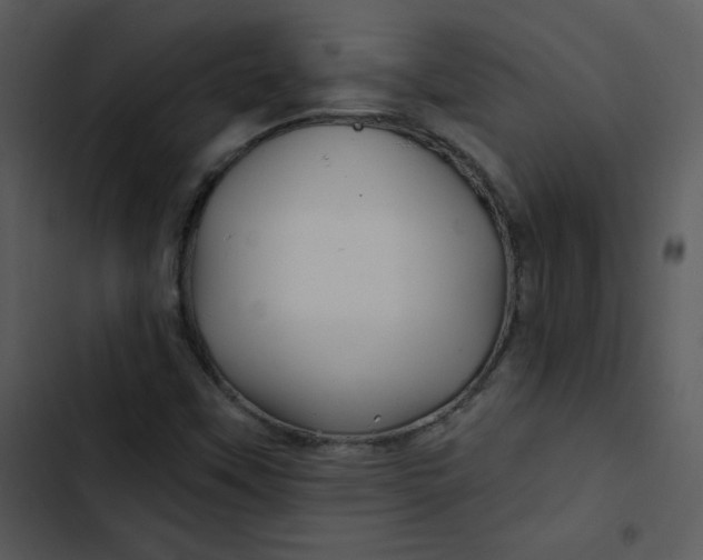 X0000103321451200809261125