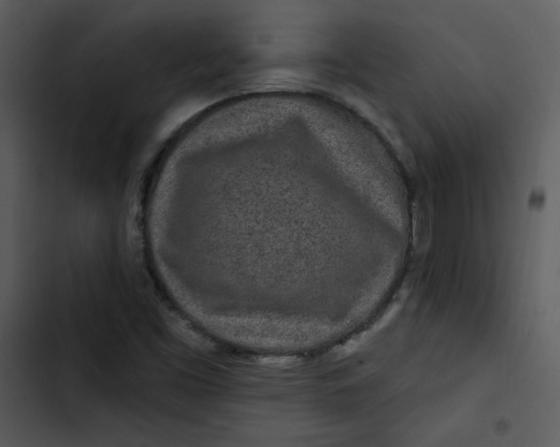 X0000103321453200809261124