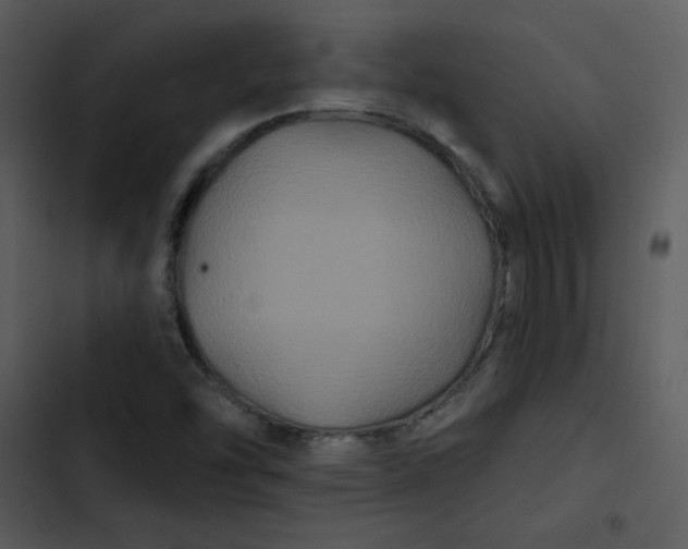 X0000103321454200809261124