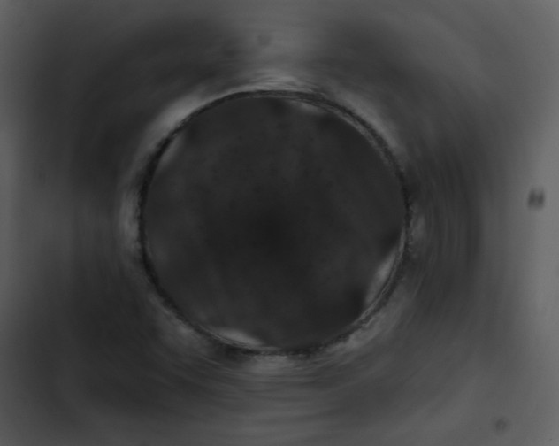 X0000103321455200809261124