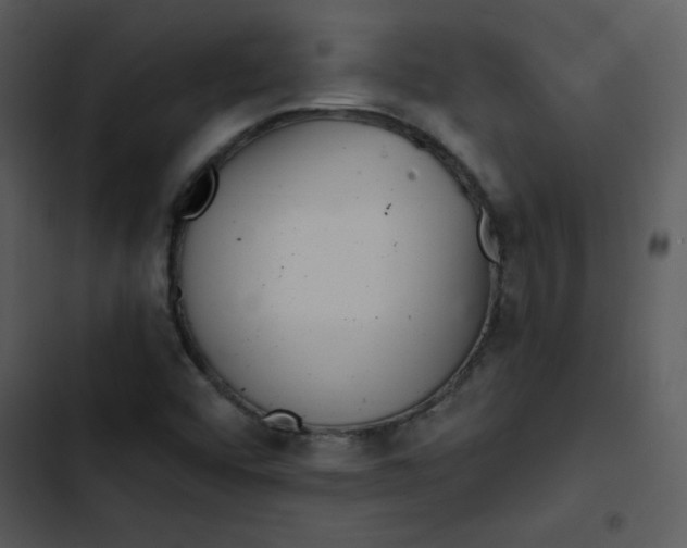 X0000103321456200809261124