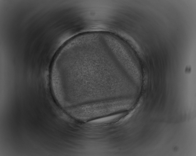 X0000103321457200809261124