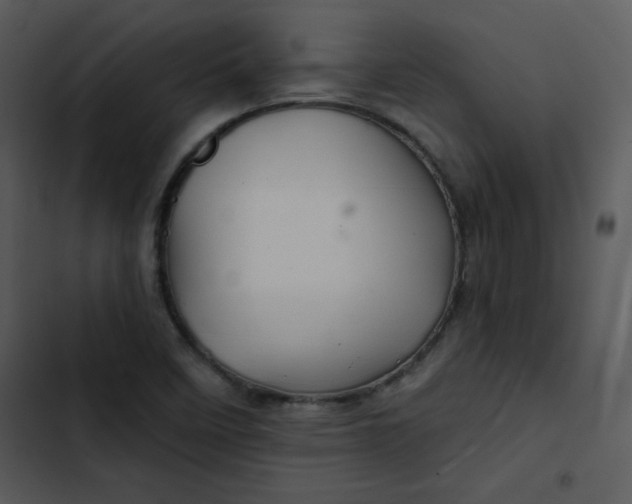 X0000103321458200809261124