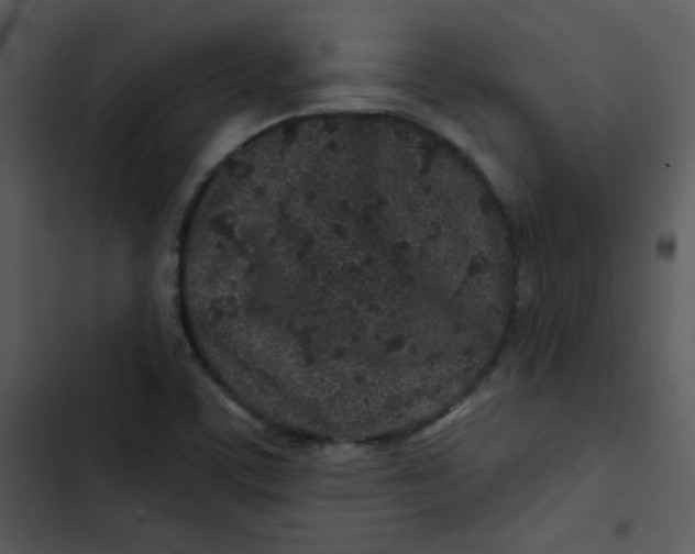 X0000103321459200809261124