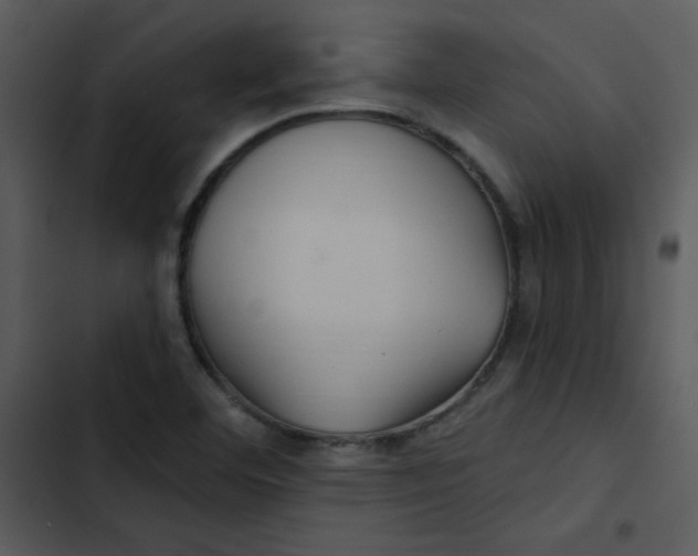 X0000103321460200809261124